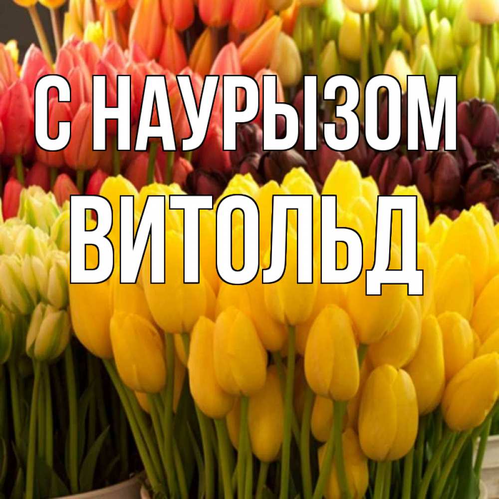 Открытка на каждый день с именем, Витольд С наурызом цветы Прикольная открытка с пожеланием онлайн скачать бесплатно 