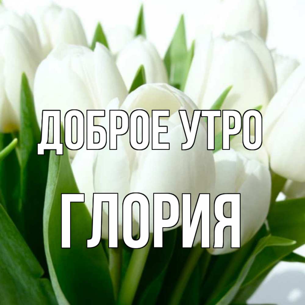 Открытка на каждый день с именем, Глория Доброе утро открытки на каждый день по именам Прикольная открытка с пожеланием онлайн скачать бесплатно 