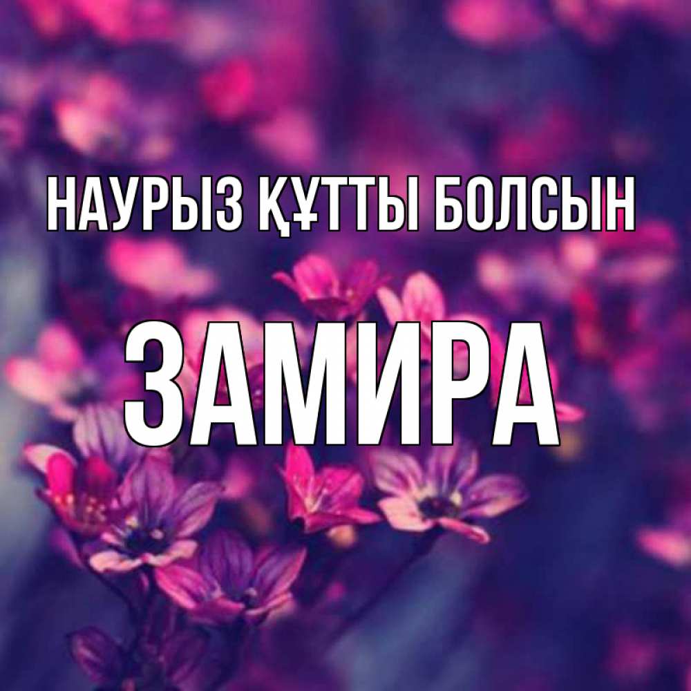 Открытка на каждый день с именем, Замира Наурыз құтты болсын небольшие цветы 1 Прикольная открытка с пожеланием онлайн скачать бесплатно 