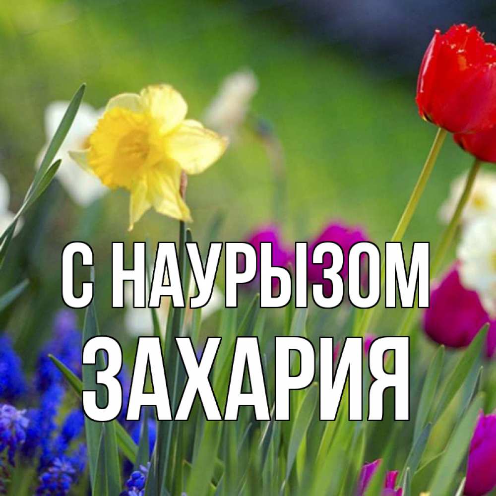 Открытка на каждый день с именем, Захария С наурызом праздник весны наурыз 3 Прикольная открытка с пожеланием онлайн скачать бесплатно 