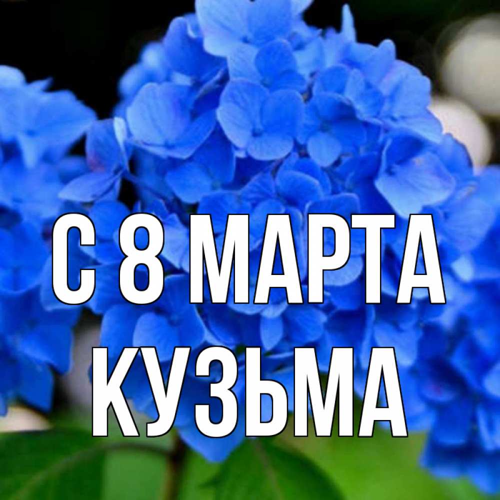 Открытка на каждый день с именем, Кузьма С 8 МАРТА синие цветы Прикольная открытка с пожеланием онлайн скачать бесплатно 
