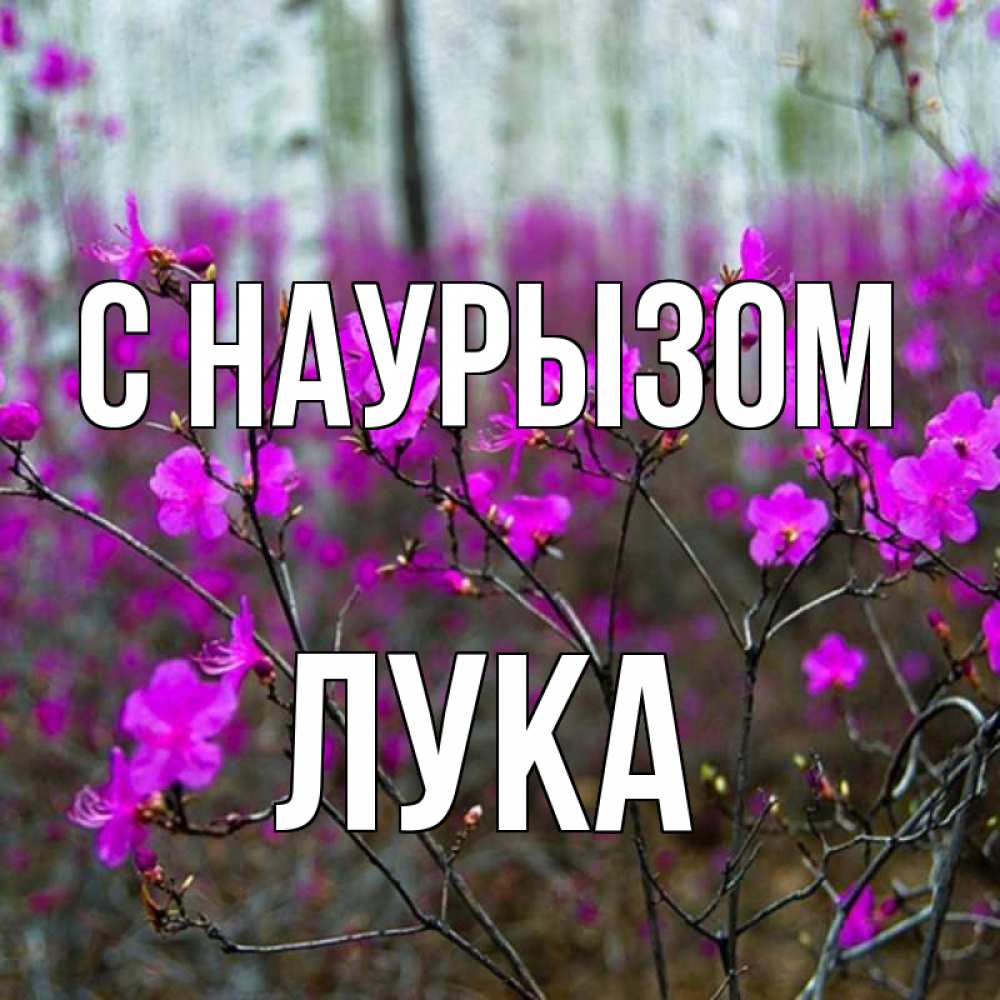 Открытка на каждый день с именем, Лука С наурызом дикие цветы Прикольная открытка с пожеланием онлайн скачать бесплатно 