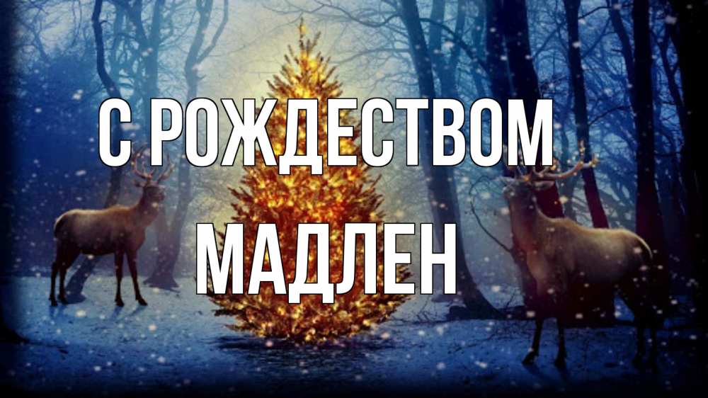 Открытка на каждый день с именем, Мадлен С рождеством олени, новогодняя елка Прикольная открытка с пожеланием онлайн скачать бесплатно 