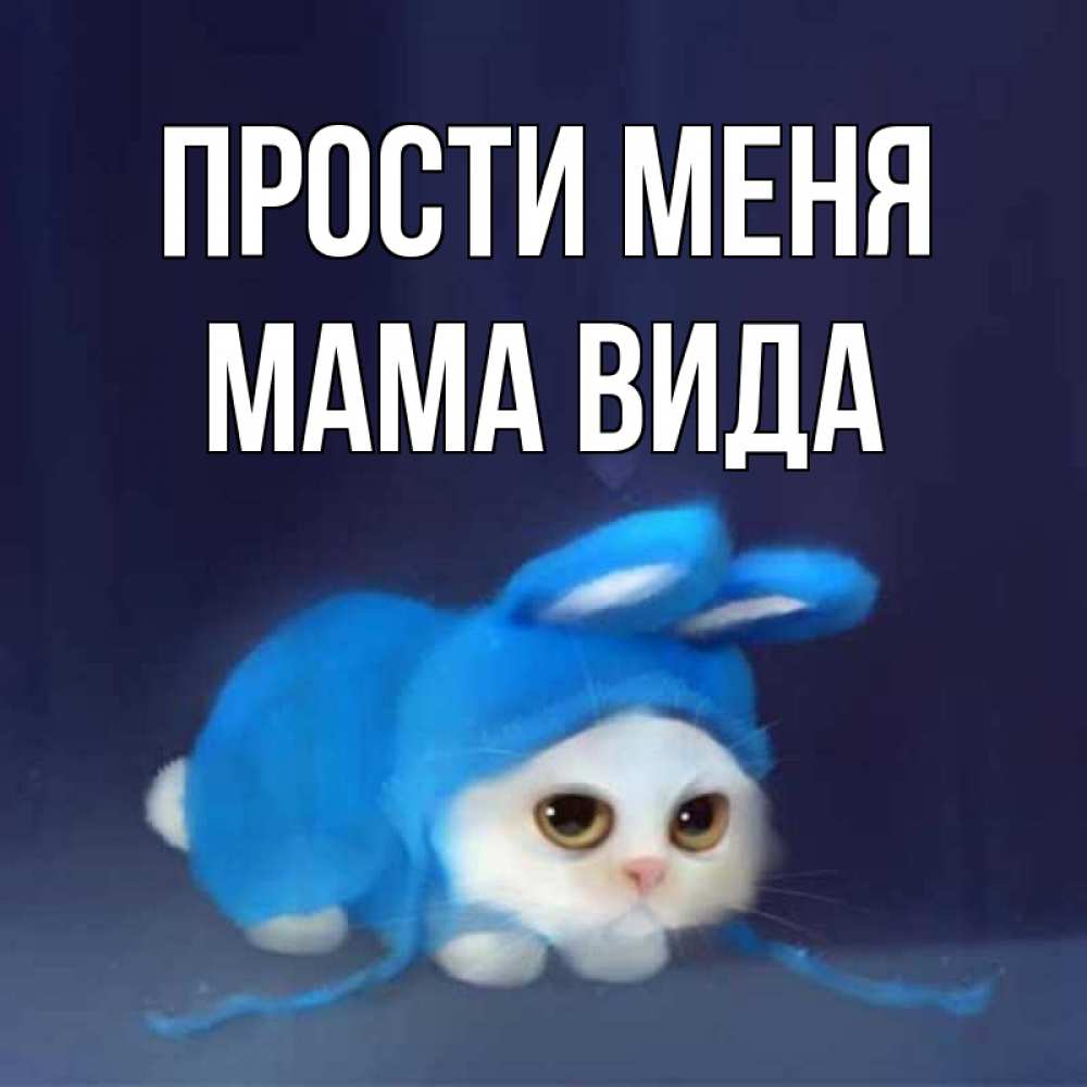 Открытка на каждый день с именем, Мама-Вида Прости меня невинный котозай просит прощения Прикольная открытка с пожеланием онлайн скачать бесплатно 