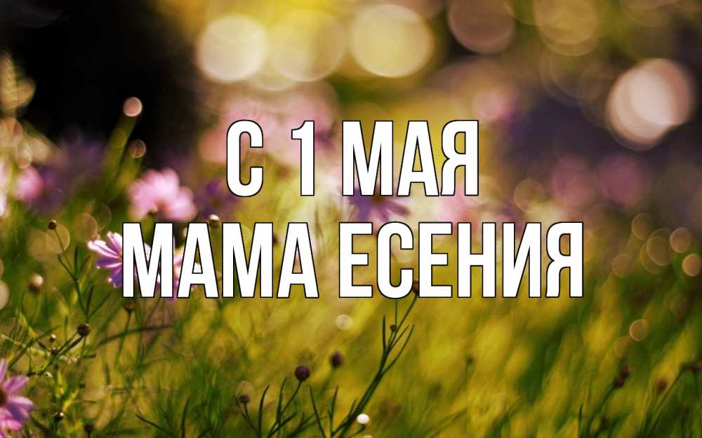 Открытка на каждый день с именем, Мама-Есения С 1 мая С 1 мая Прикольная открытка с пожеланием онлайн скачать бесплатно 