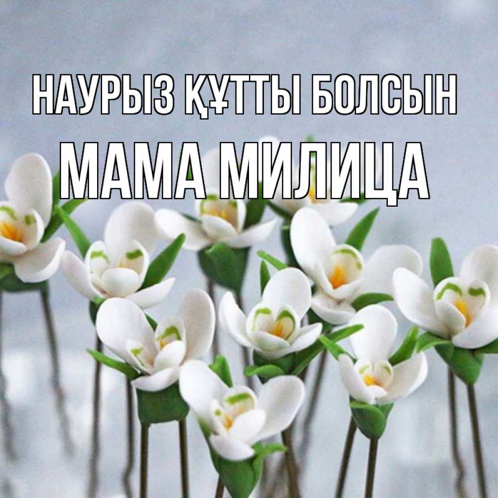 Открытка на каждый день с именем, Мама-Милица Наурыз құтты болсын весенние цветы Прикольная открытка с пожеланием онлайн скачать бесплатно 