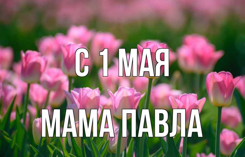 Открытка на каждый день с именем, Мама-Павла С 1 мая С 1 мая Прикольная открытка с пожеланием онлайн скачать бесплатно 