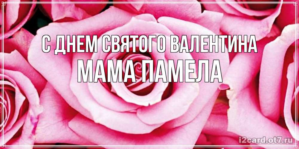 Открытка на каждый день с именем, Мама-Памела С днем Святого Валентина роза розовая на день Святого Валентина Прикольная открытка с пожеланием онлайн скачать бесплатно 