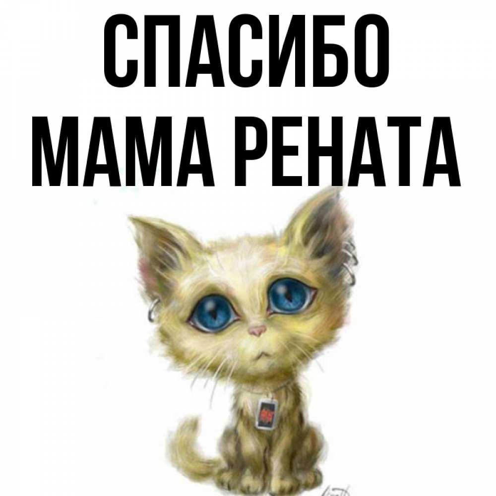 Открытка на каждый день с именем, Мама-Рената Спасибо рисованный кот благодарит вас Прикольная открытка с пожеланием онлайн скачать бесплатно 