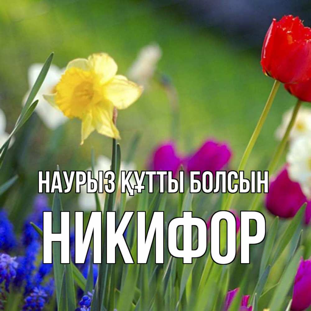 Открытка на каждый день с именем, Никифор Наурыз құтты болсын наурыз  3 открытки Прикольная открытка с пожеланием онлайн скачать бесплатно 