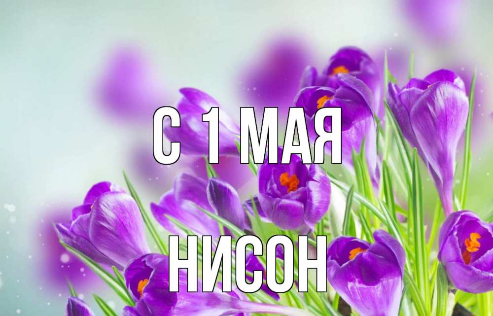 Открытка на каждый день с именем, Нисон С 1 мая 1 мая Прикольная открытка с пожеланием онлайн скачать бесплатно 