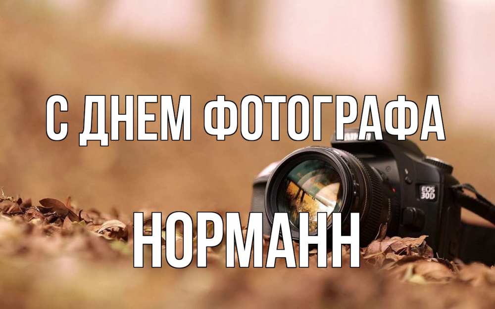 Открытка на каждый день с именем, Норманн С днем фотографа с днем фотографа Прикольная открытка с пожеланием онлайн скачать бесплатно 