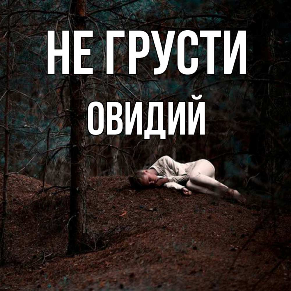 Открытка на каждый день с именем, Овидий Не грусти лес Прикольная открытка с пожеланием онлайн скачать бесплатно 