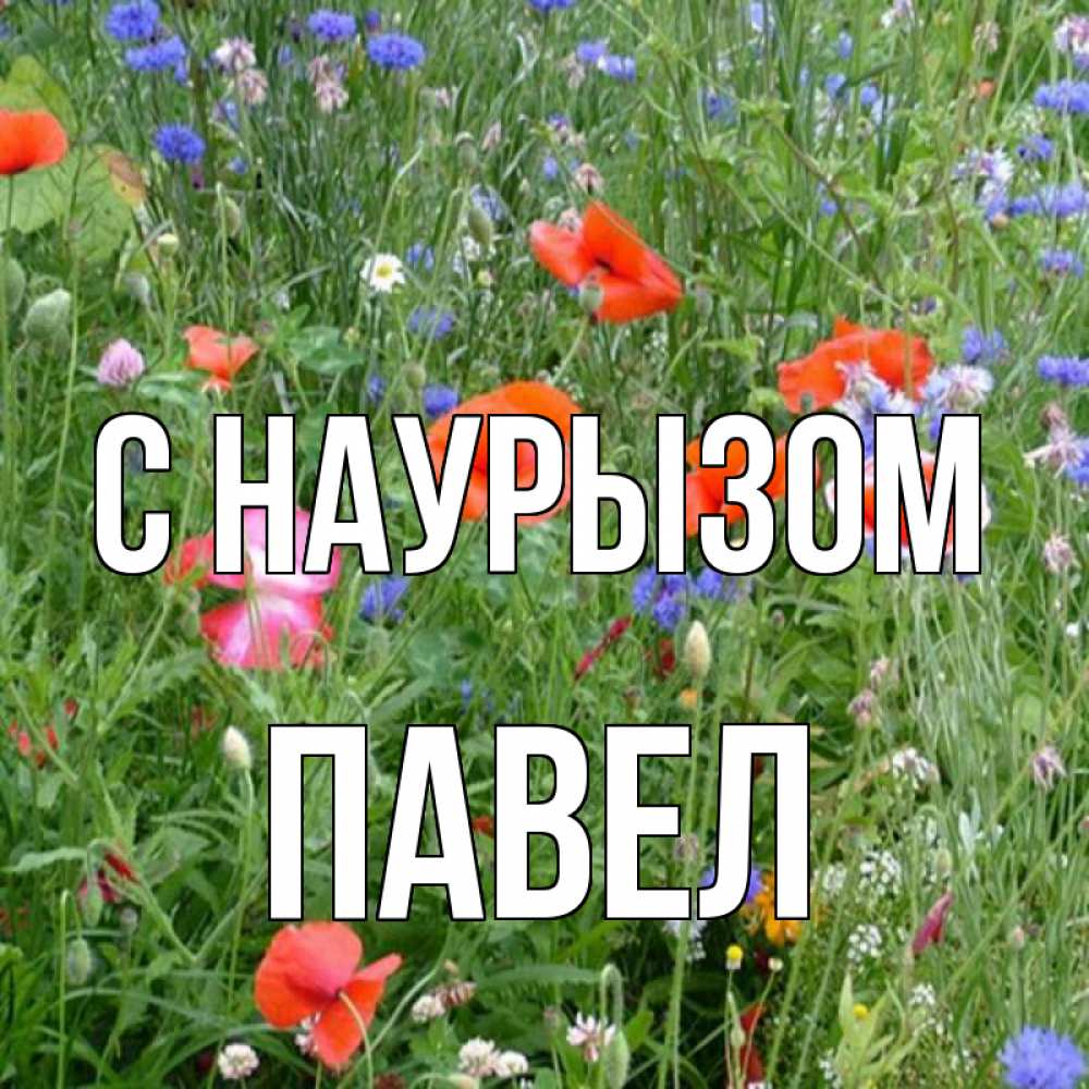 Открытка на каждый день с именем, Павел С наурызом праздник весны наурыз супер открытка Прикольная открытка с пожеланием онлайн скачать бесплатно 