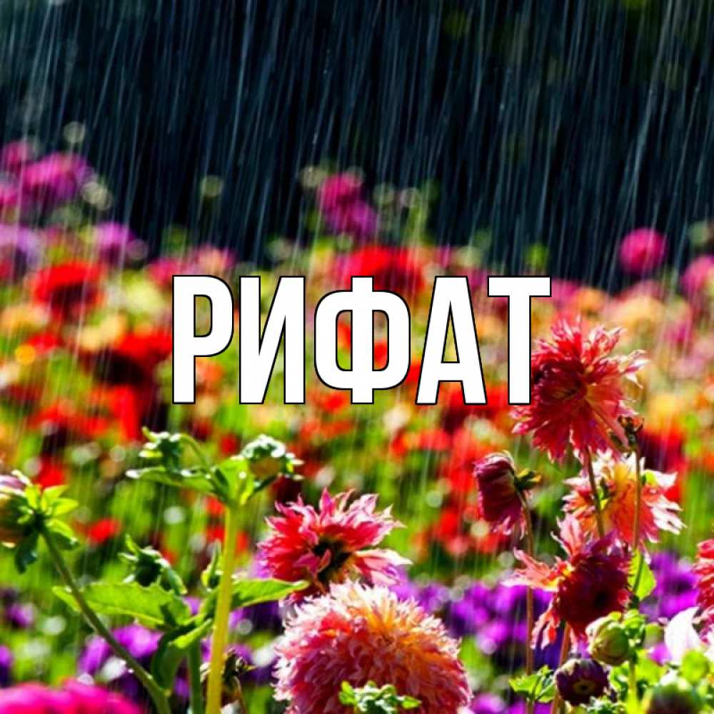 Открытка на каждый день с именем, Рифат Главная цветы под дождиком к международному женскому дню Прикольная открытка с пожеланием онлайн скачать бесплатно 