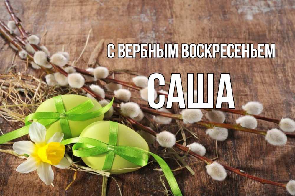 Открытка на каждый день с именем, Саша С вербным воскресеньем верба Прикольная открытка с пожеланием онлайн скачать бесплатно 