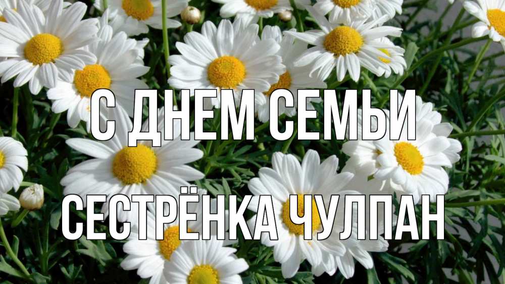 Открытка на каждый день с именем, Сестрёнка-Чулпан С днем семьи с днем семьи Прикольная открытка с пожеланием онлайн скачать бесплатно 