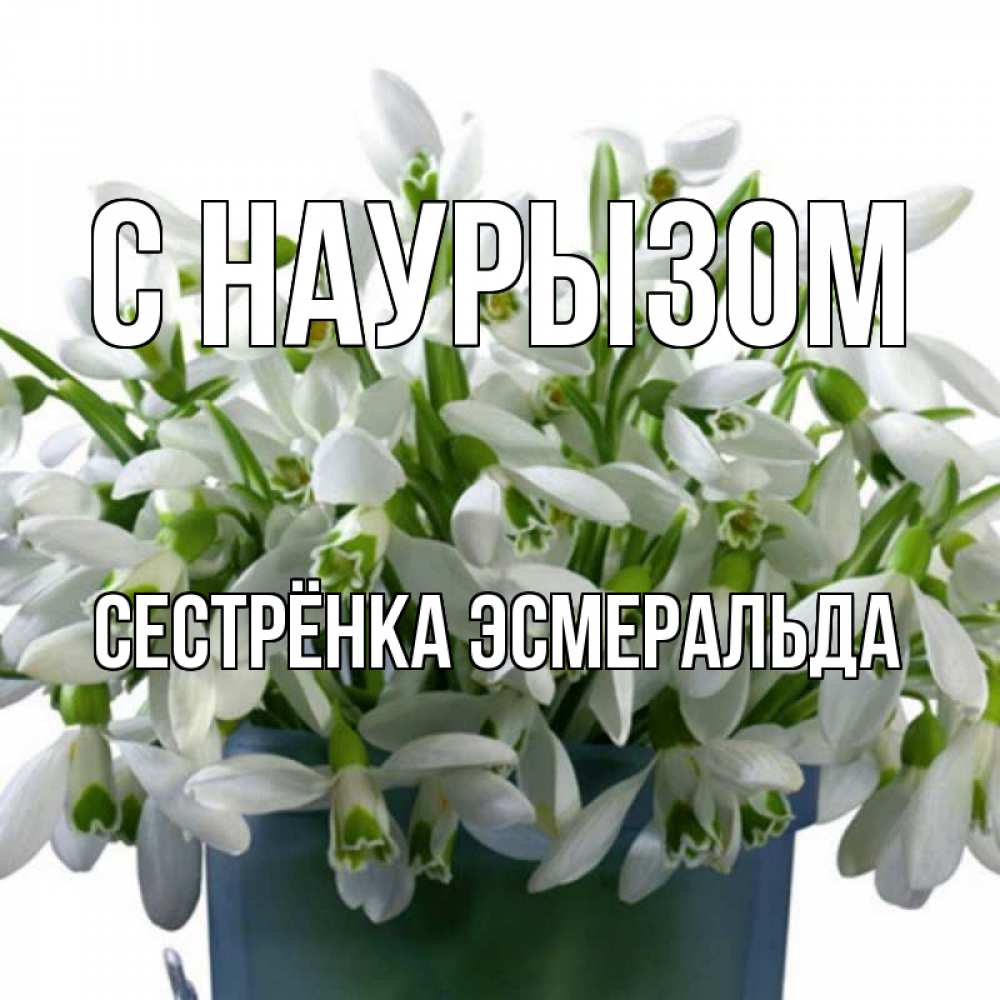 Открытка на каждый день с именем, Сестрёнка-Эсмеральда С наурызом цветы к наурызу новый год в Казахстане Прикольная открытка с пожеланием онлайн скачать бесплатно 