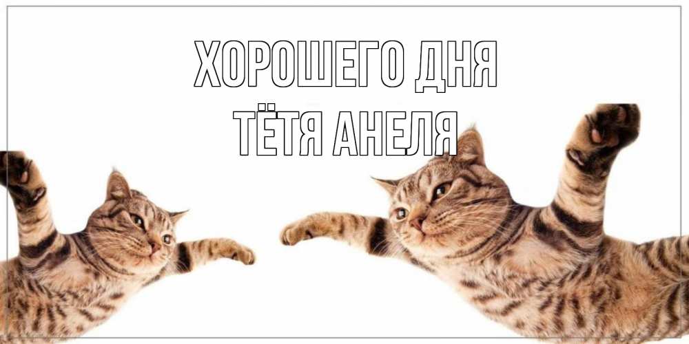 Открытка на каждый день с именем, Тётя-Анеля Хорошего дня хорошего дня Прикольная открытка с пожеланием онлайн скачать бесплатно 