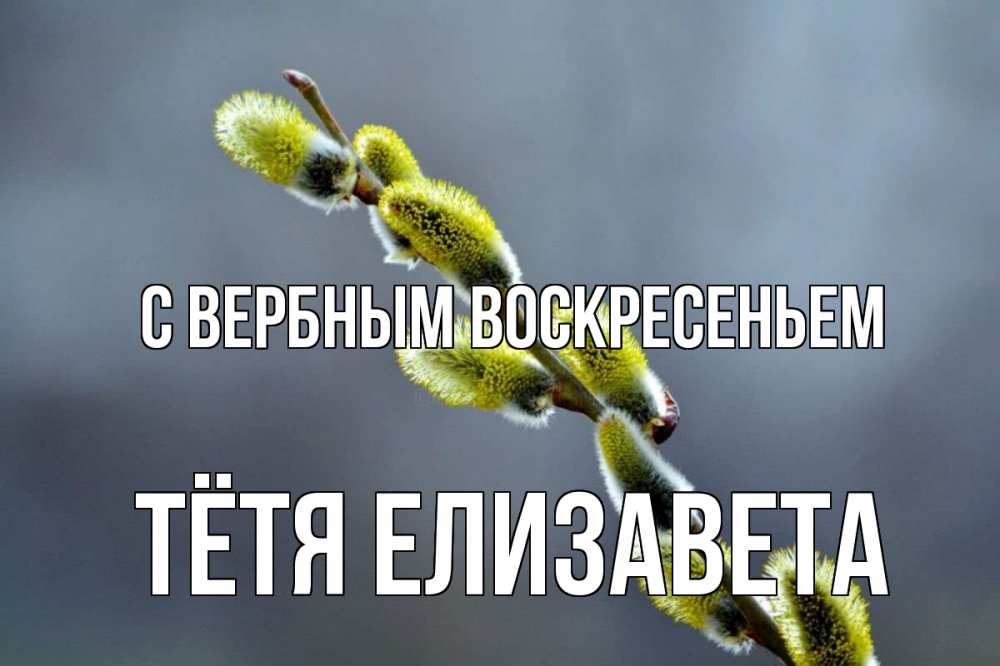 Открытка на каждый день с именем, Тётя-Елизавета С вербным воскресеньем верба Прикольная открытка с пожеланием онлайн скачать бесплатно 