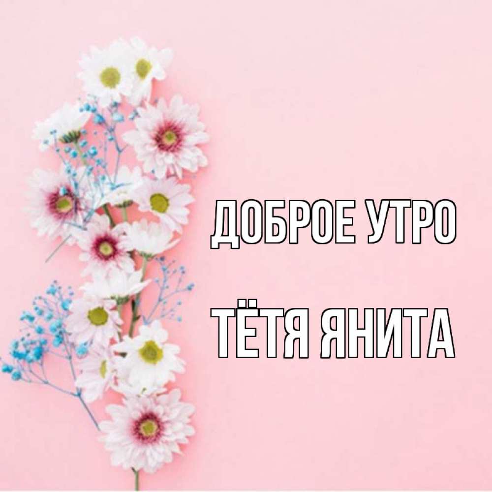 Открытка на каждый день с именем, Тётя-Янита Доброе утро цветы с подписью Прикольная открытка с пожеланием онлайн скачать бесплатно 