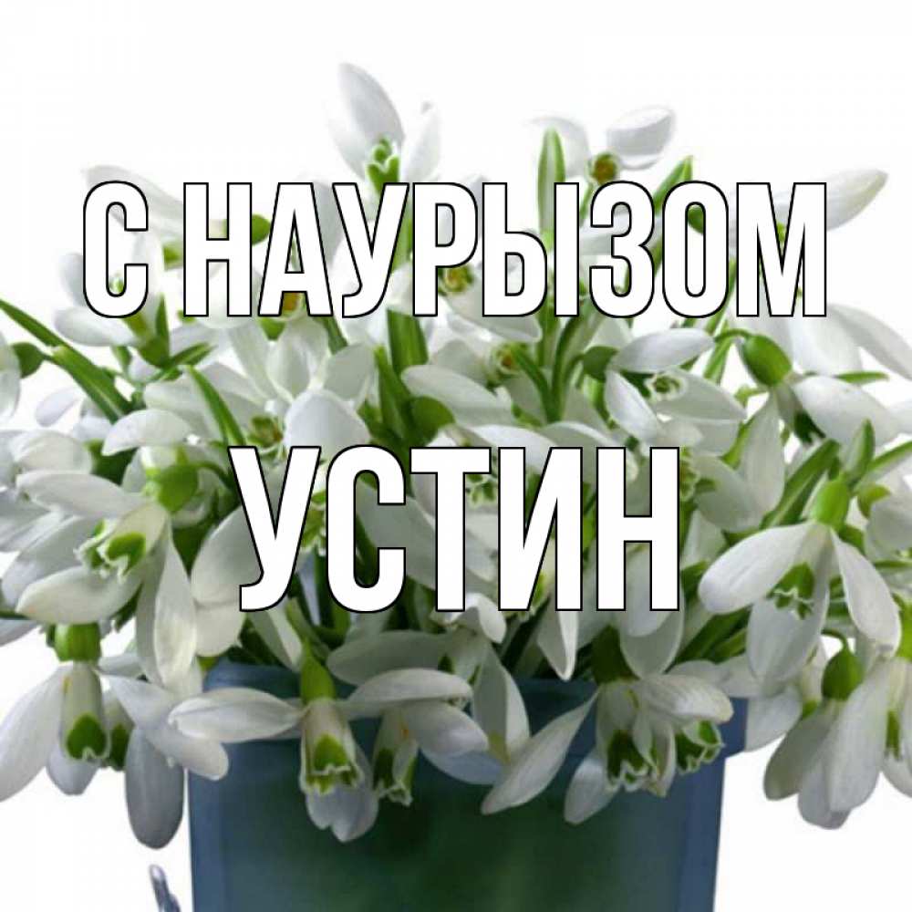 Открытка на каждый день с именем, Устин С наурызом цветы к наурызу новый год в Казахстане Прикольная открытка с пожеланием онлайн скачать бесплатно 