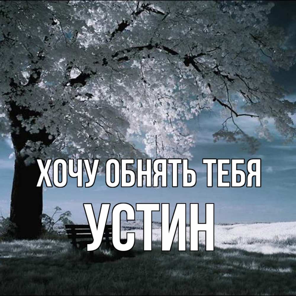 Открытка на каждый день с именем, Устин Хочу обнять тебя дерево Прикольная открытка с пожеланием онлайн скачать бесплатно 