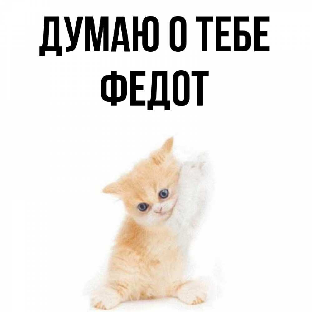 Открытка на каждый день с именем, Федот Думаю о тебе зверушки и милота Прикольная открытка с пожеланием онлайн скачать бесплатно 