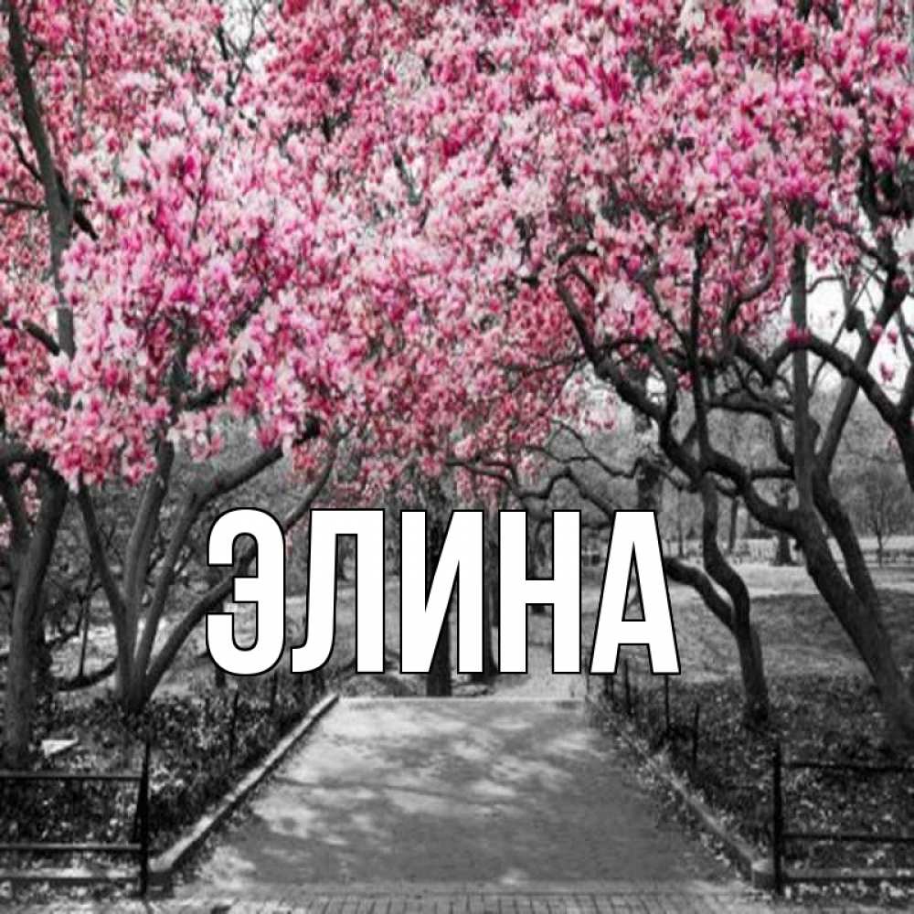 Открытка на каждый день с именем, Элина Главная обработанное фото Прикольная открытка с пожеланием онлайн скачать бесплатно 