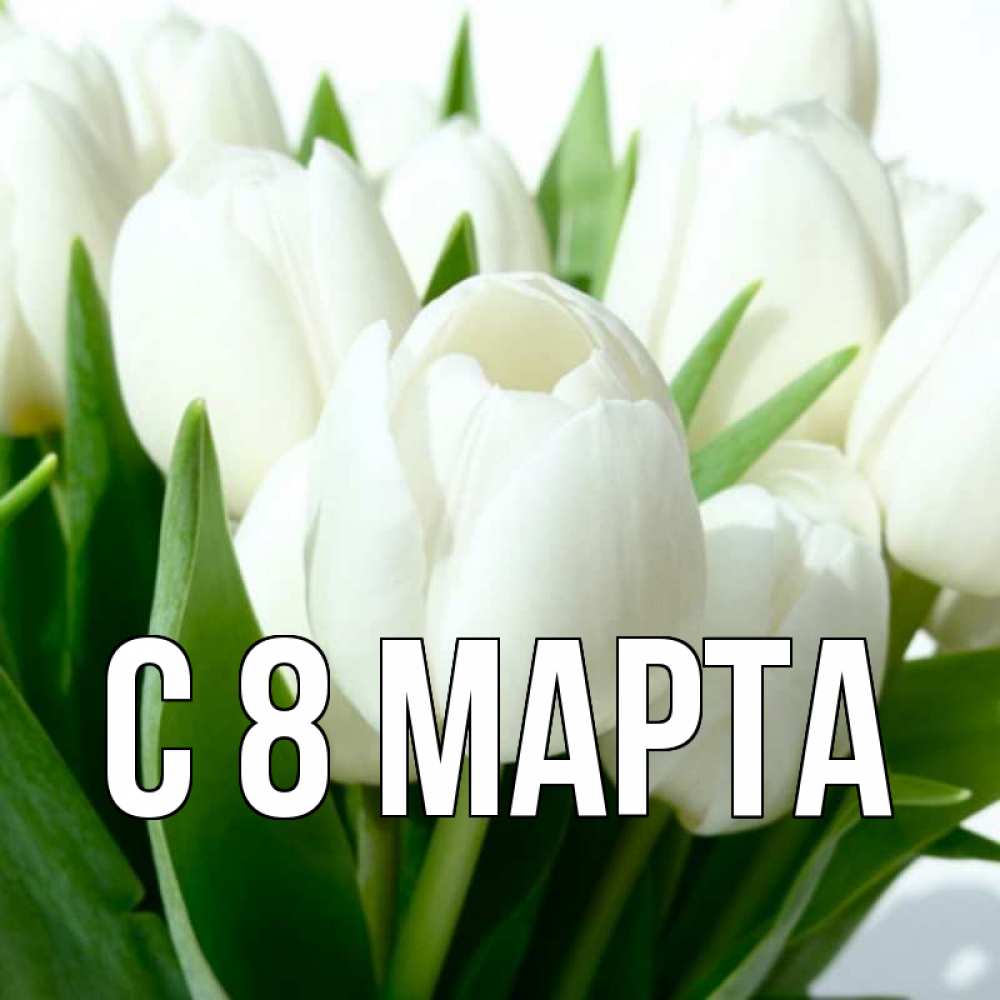 Открытка на каждый день с именем, выберите-имя С 8 МАРТА цветы Прикольная открытка с пожеланием онлайн скачать бесплатно 
