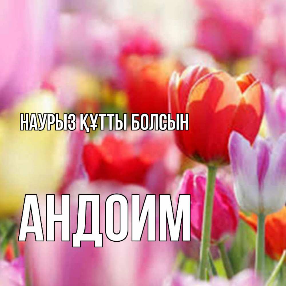 Открытка на каждый день с именем, Андоим Наурыз құтты болсын на наурыз  2 Прикольная открытка с пожеланием онлайн скачать бесплатно 