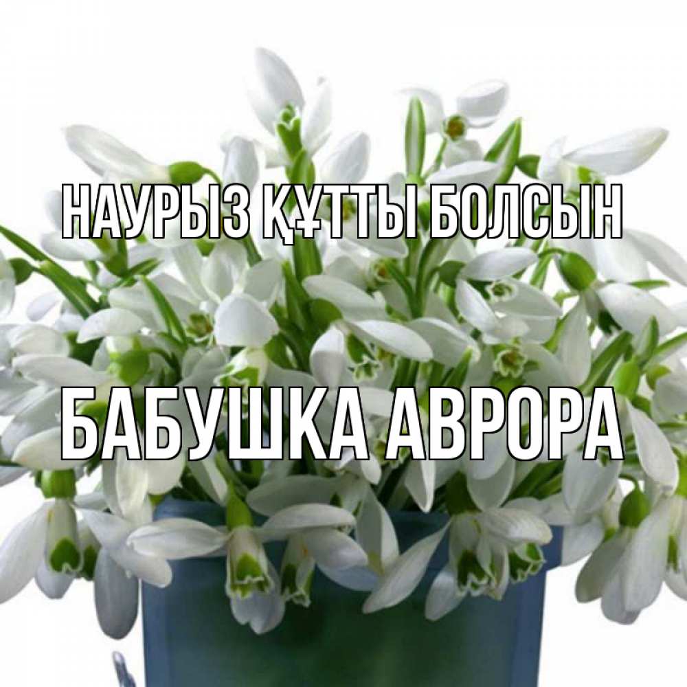 Открытка на каждый день с именем, Бабушка-Аврора Наурыз құтты болсын цветы к наурызу Прикольная открытка с пожеланием онлайн скачать бесплатно 