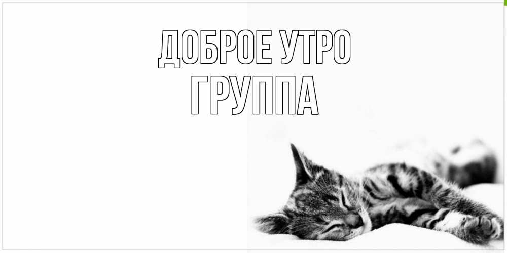 Открытка на каждый день с именем, Группа Доброе утро котуся Прикольная открытка с пожеланием онлайн скачать бесплатно 