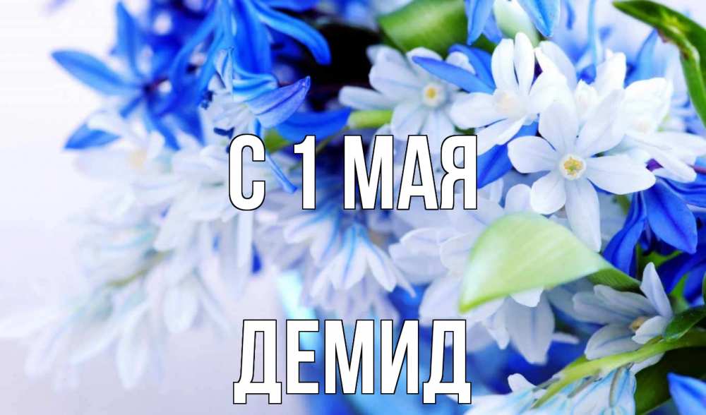 Открытка на каждый день с именем, Демид С 1 мая С 1 мая Прикольная открытка с пожеланием онлайн скачать бесплатно 