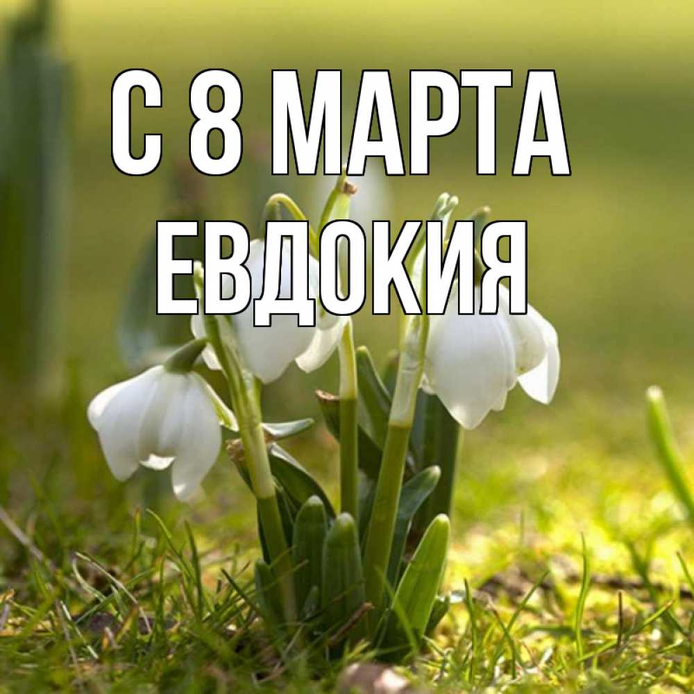 Открытка на каждый день с именем, Евдокия С 8 марта ранние цветы 2 Прикольная открытка с пожеланием онлайн скачать бесплатно 