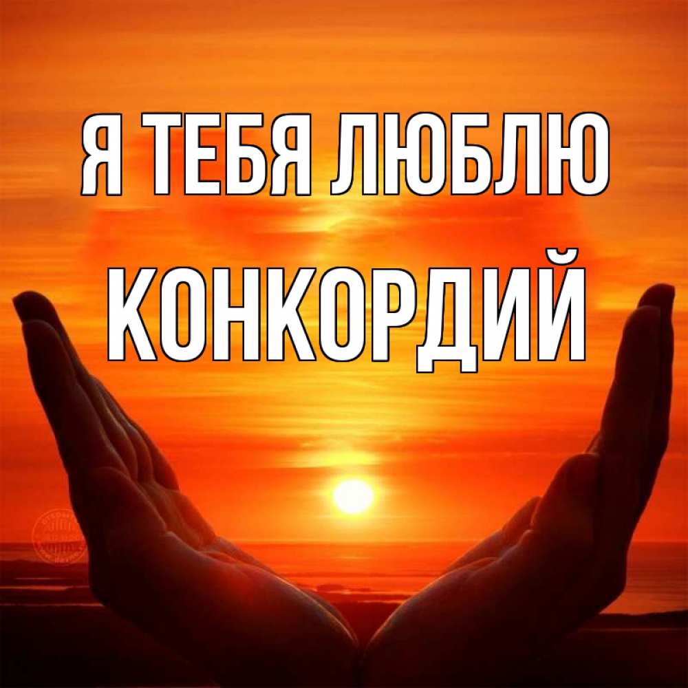 Открытка на каждый день с именем, Конкордий Я тебя люблю в руках Прикольная открытка с пожеланием онлайн скачать бесплатно 