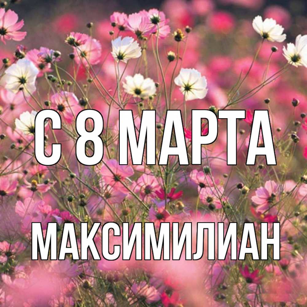 Открытка на каждый день с именем, Максимилиан С 8 МАРТА красиво 1 Прикольная открытка с пожеланием онлайн скачать бесплатно 