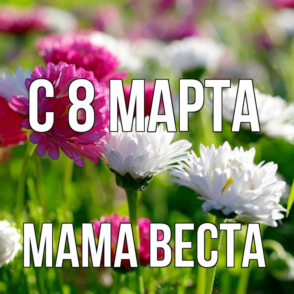 Открытка на каждый день с именем, Мама-Веста С 8 МАРТА международный женский день 1 Прикольная открытка с пожеланием онлайн скачать бесплатно 