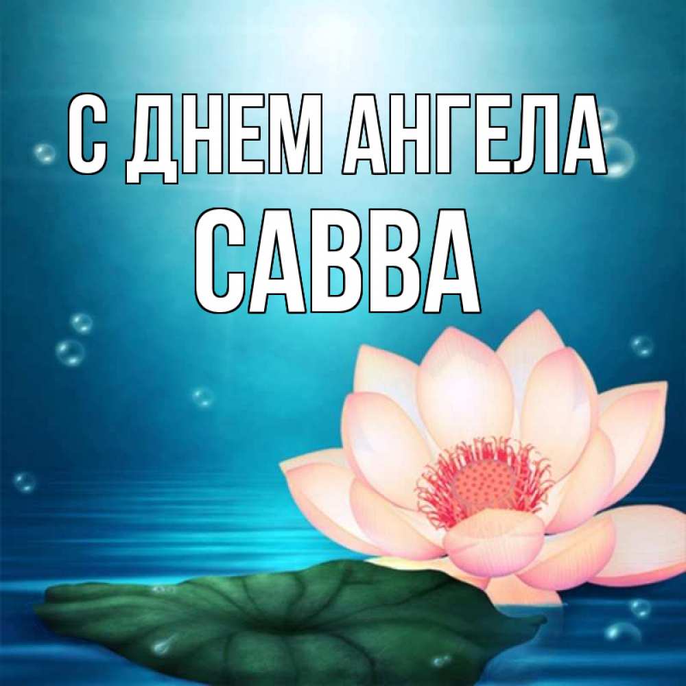 Открытка на каждый день с именем, Савва С днем ангела кувшинка Прикольная открытка с пожеланием онлайн скачать бесплатно 