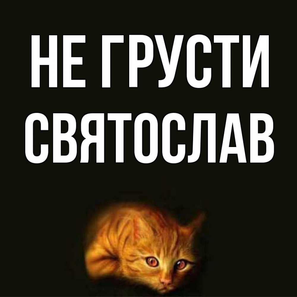 Открытка на каждый день с именем, Святослав Не грусти лежащий кот в темноте Прикольная открытка с пожеланием онлайн скачать бесплатно 