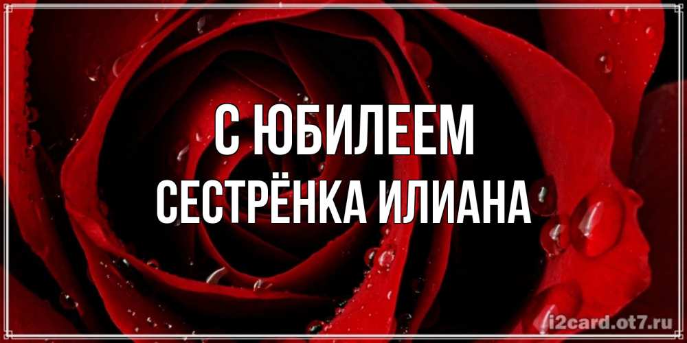 Открытка на каждый день с именем, Сестрёнка-Илиана С юбилеем крупная бордовая роза Прикольная открытка с пожеланием онлайн скачать бесплатно 