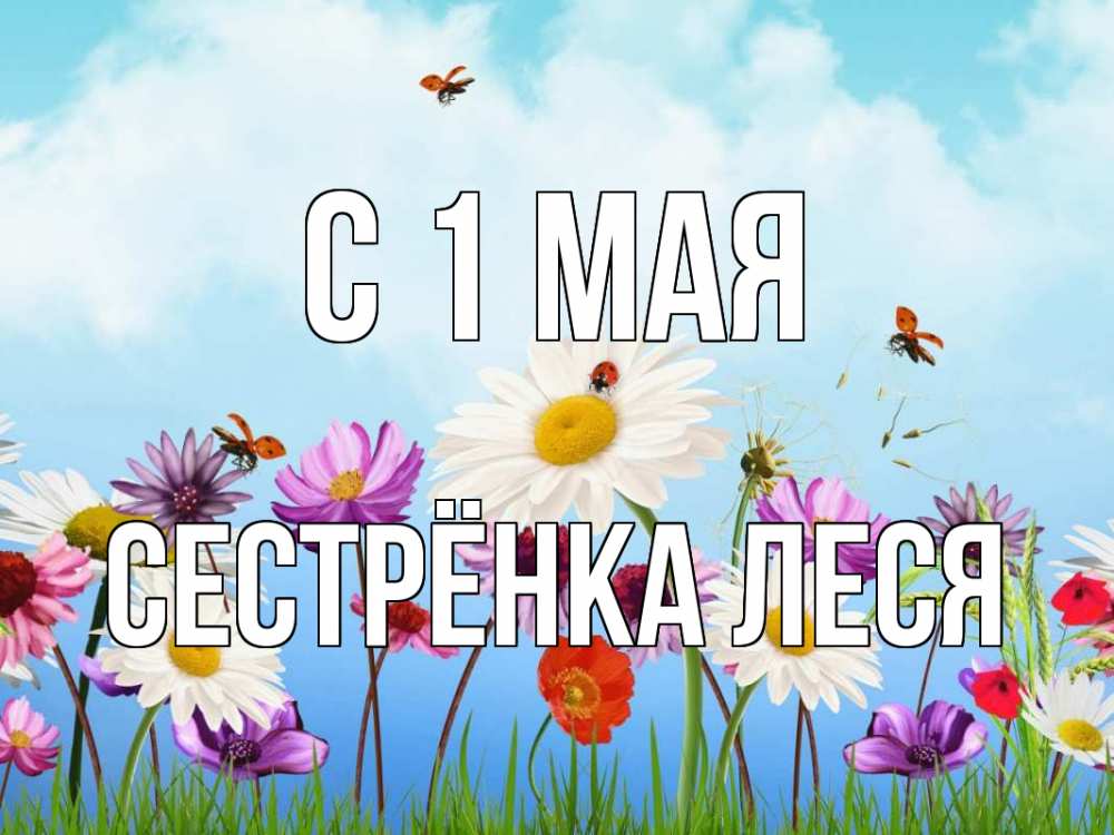 Открытка на каждый день с именем, Сестрёнка-Леся С 1 мая С 1 мая Прикольная открытка с пожеланием онлайн скачать бесплатно 