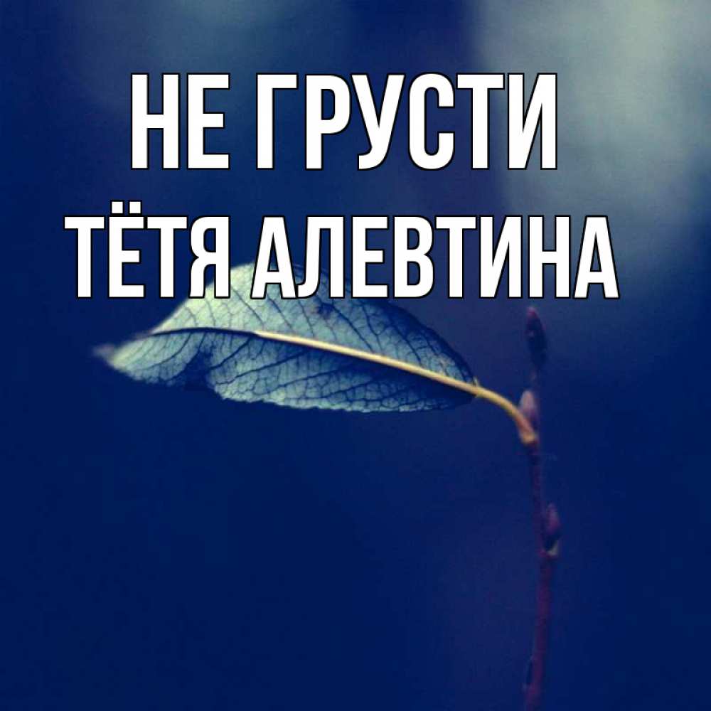 Открытка на каждый день с именем, Тётя-Алевтина Не грусти растение Прикольная открытка с пожеланием онлайн скачать бесплатно 