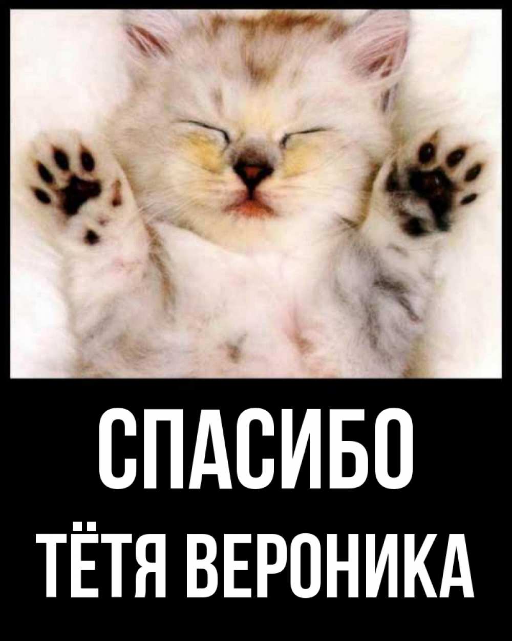 Открытка на каждый день с именем, Тётя-Вероника Спасибо маленький котенок Прикольная открытка с пожеланием онлайн скачать бесплатно 