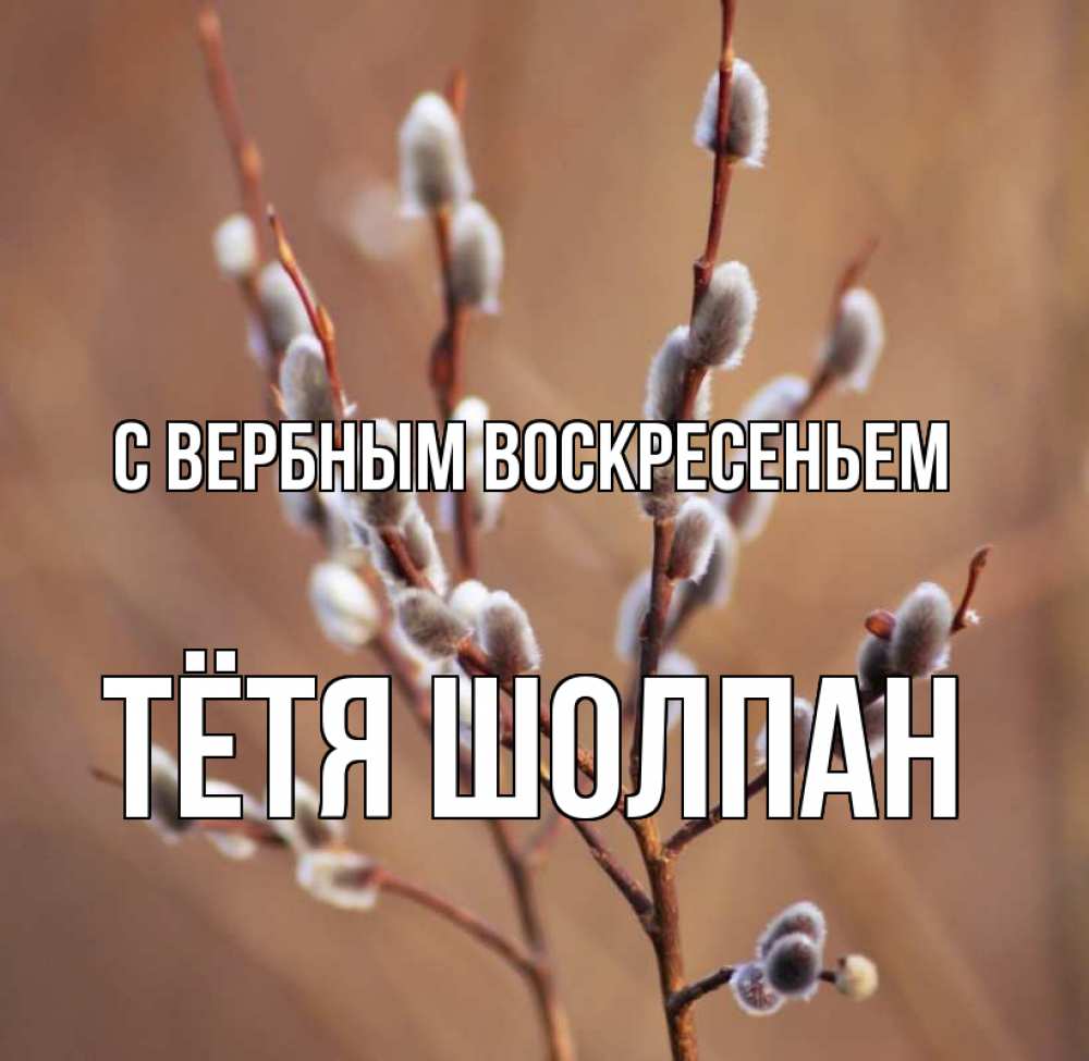 Открытка на каждый день с именем, Тётя-Шолпан С вербным воскресеньем верба Прикольная открытка с пожеланием онлайн скачать бесплатно 