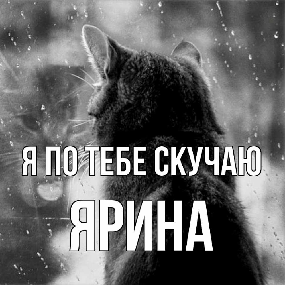 Картинки с намеком скучаю