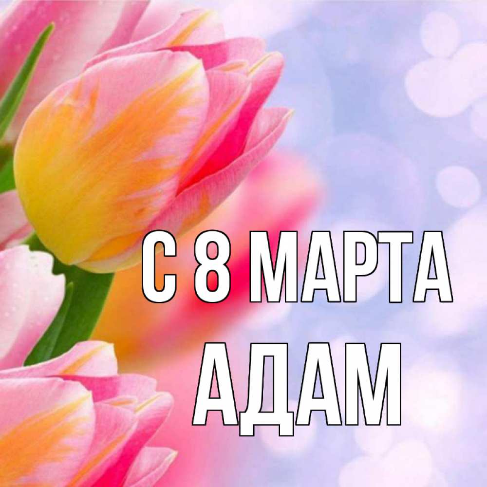 Открытка на каждый день с именем, Адам С 8 МАРТА тюльпаны 2 Прикольная открытка с пожеланием онлайн скачать бесплатно 