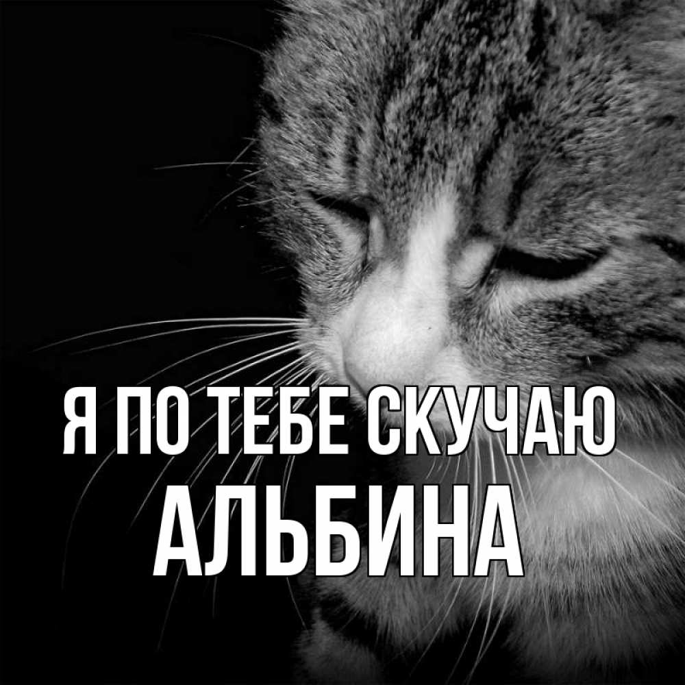 Открытка на каждый день с именем, Альбина Я по тебе скучаю мне скучно Прикольная открытка с пожеланием онлайн скачать бесплатно 