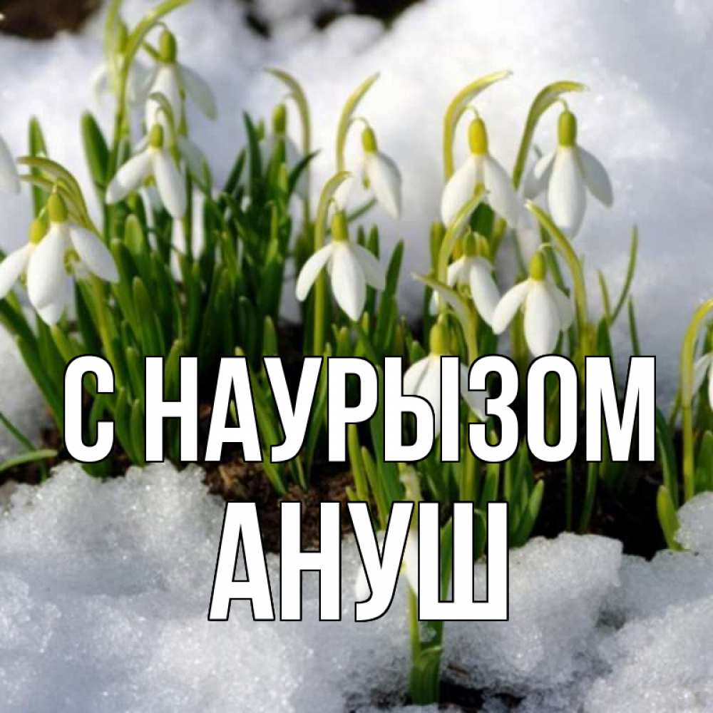 Открытка на каждый день с именем, Ануш С наурызом цветы весенние Прикольная открытка с пожеланием онлайн скачать бесплатно 