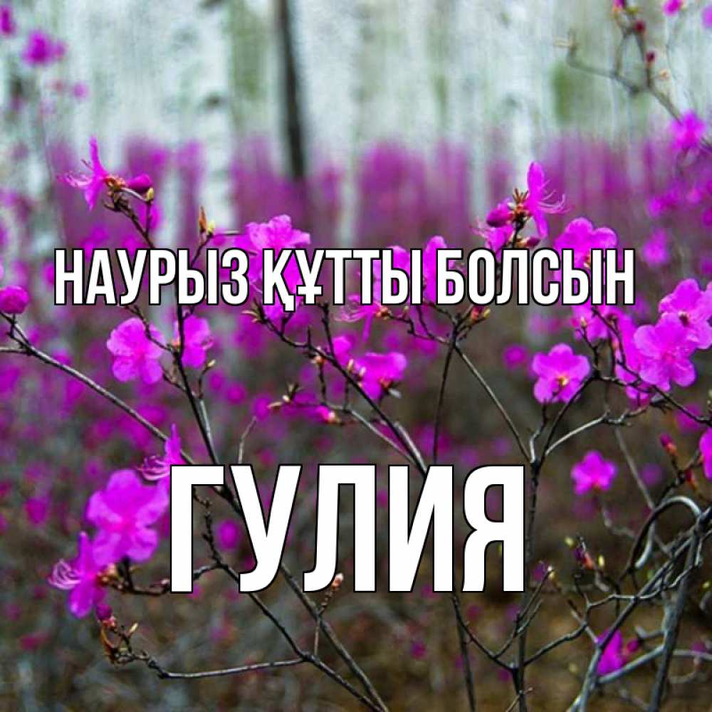 Открытка на каждый день с именем, Гулия Наурыз құтты болсын дикие цветы Прикольная открытка с пожеланием онлайн скачать бесплатно 